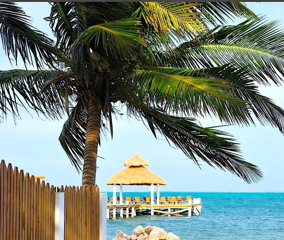 키코커 Velento Oceanfront #2 빌라 외부 사진